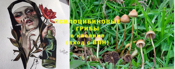 spice Алзамай
