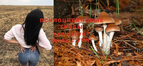 spice Алзамай