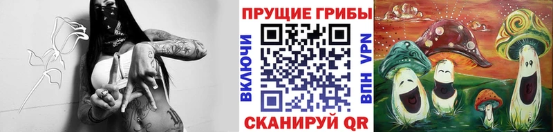 KRAKEN вход  Любим  Галлюциногенные грибы прущие грибы  где купить наркоту 